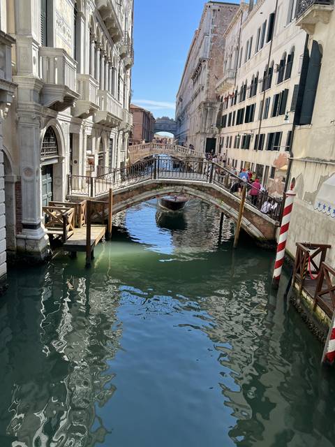       Venetian canal with a bridge and gondolas.
  