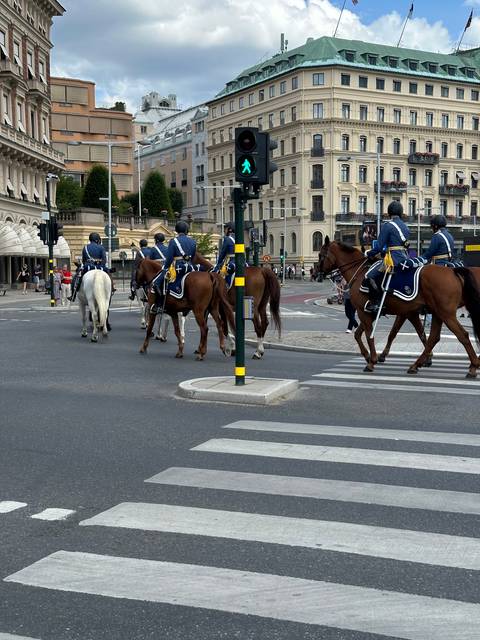Group of horses and riders crossing a street in the city.