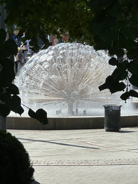      Water fountain with dandelion-like design in a public space.
  