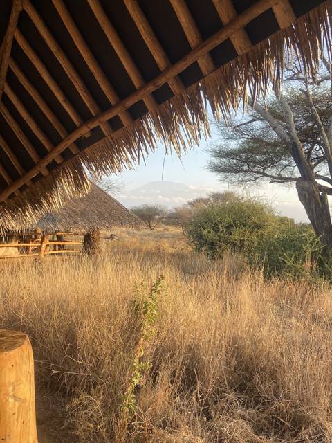       Landscape with thatched roof and savanna backdrop.
  
