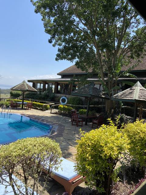 Outdoor poolside with plants and greenery.