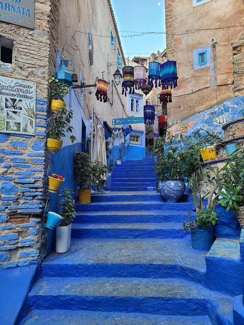 A blue-painted street with hanging lanterns and plants.