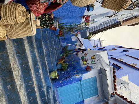 Colorful alley lined with bright blue walls and flower pots.