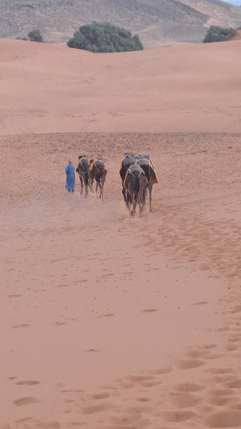       People riding camels on a desert landscape.
  