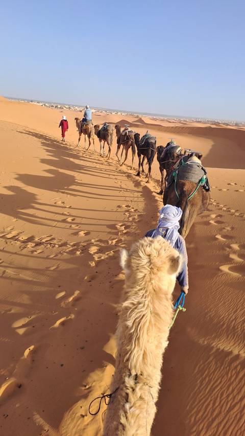 People riding camels through the sand dunes.