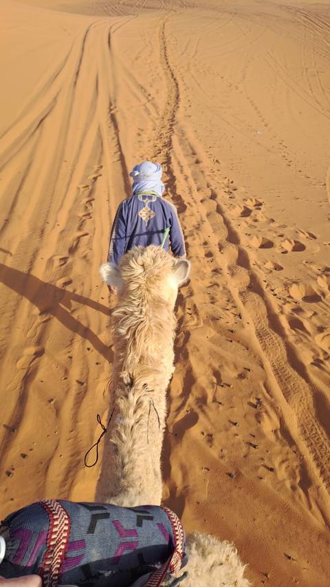 Camel ride view on the sand dunes.