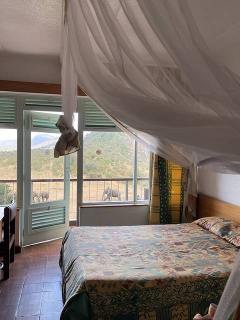 Interior view of a room overlooking wildlife.
