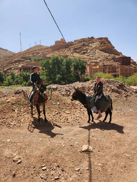 Man with donkeys in a rural area.