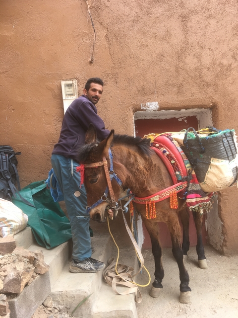 A man with a packed donkey standing beside a wall.