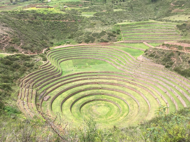       Circular terraced fields viewed from above.
  