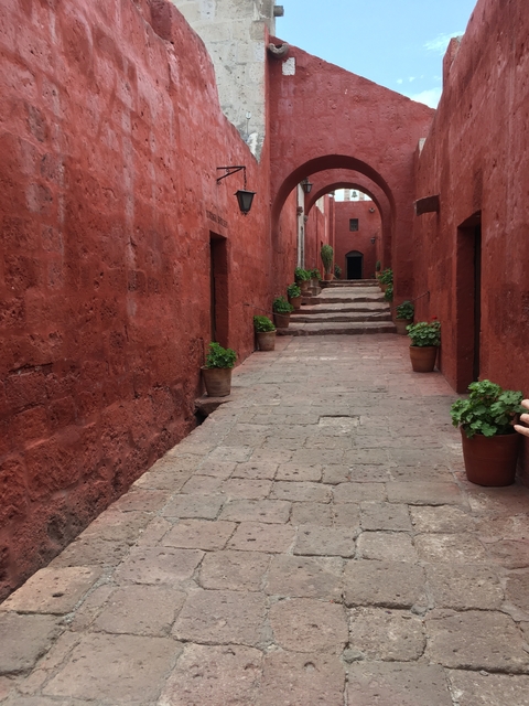       Narrow street with red walls and potted plants.
  