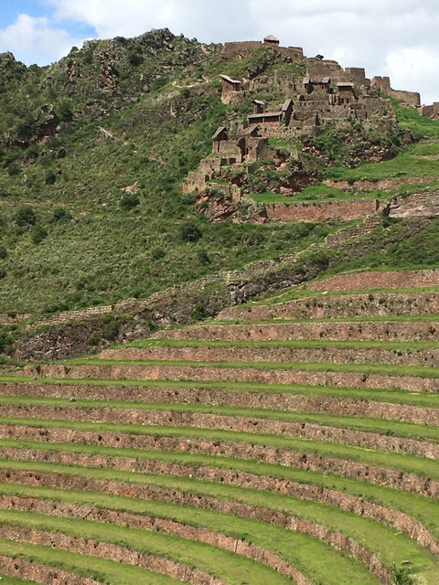       Terraces on a hillside with greenery.
  