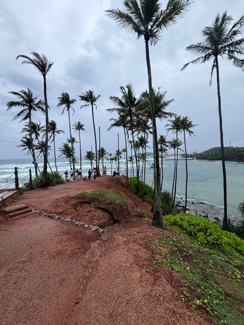       Scenic view of the ocean with palm trees on a cliffside.
  