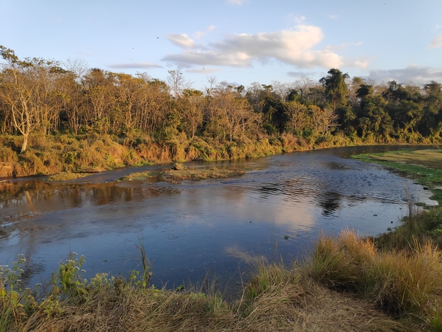       Serene river flowing with trees and lush vegetation.
  
