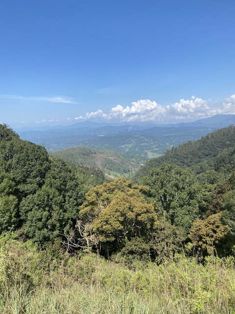 Expansive view of mountain ranges and forests.