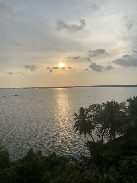       Sunset view over a calm ocean with palm trees.
  