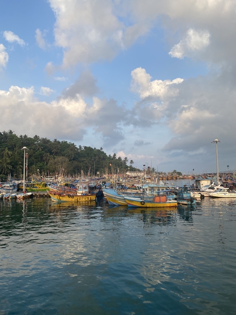       Colorful boats docked at a harbor during the day.
  