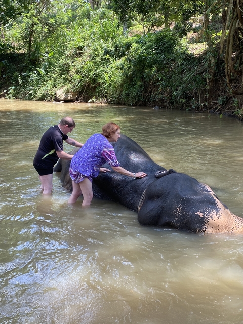       People interacting with an elephant in a river.
  