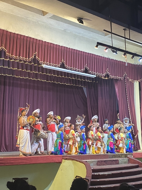       Cultural performance with dancers in traditional attire.
  