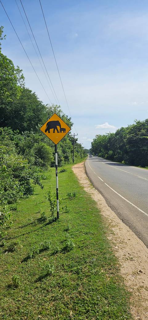 Elephant crossing road sign on a rural path.