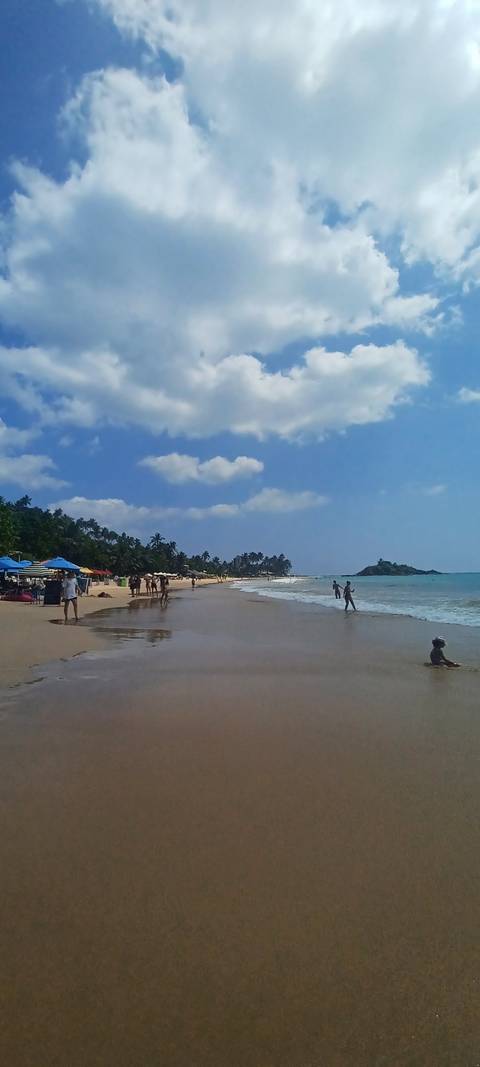      Sandy beach with people and umbrellas.
  