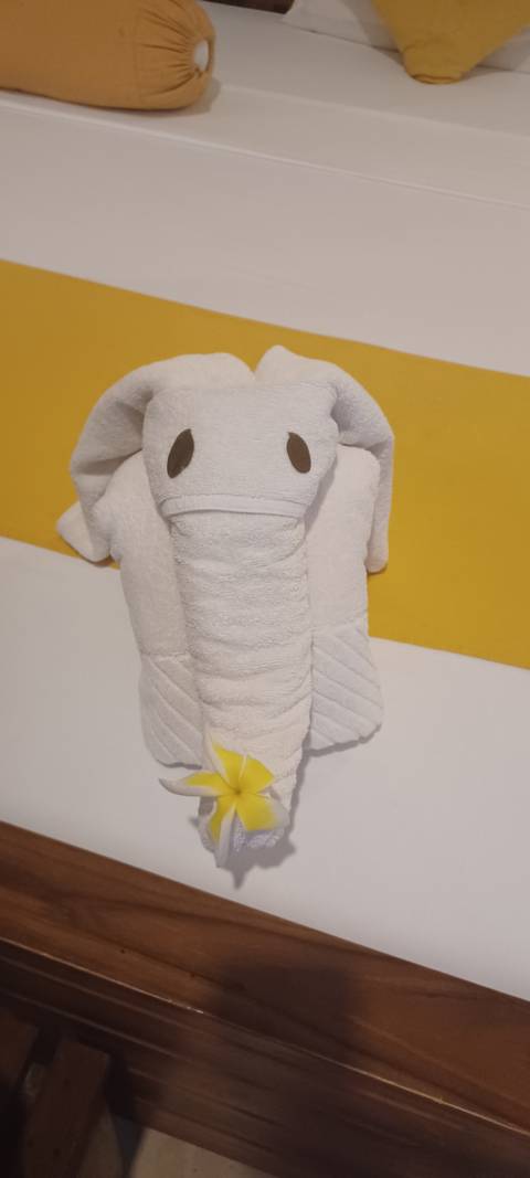 Towel folded into the shape of an elephant.