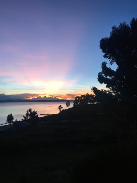       Sunset view over a calm lake with silhouetted trees.
  