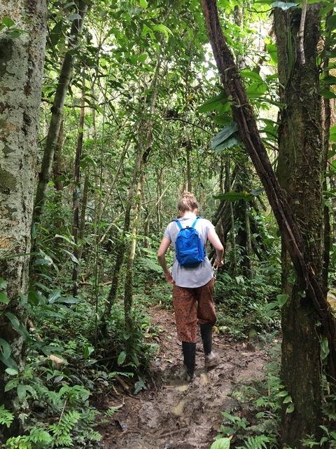       Person walking through lush green forest.
  