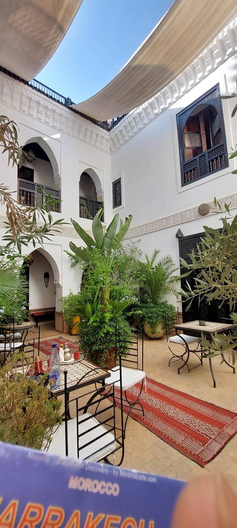       Courtyard of a traditional Moroccan house with plants.
  