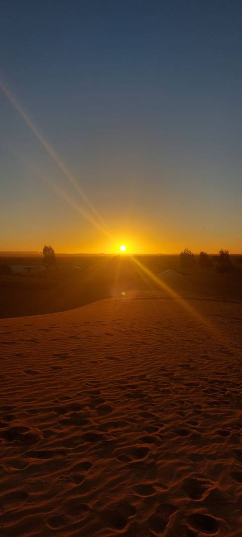       Sunset over desert dunes with long shadows.
  