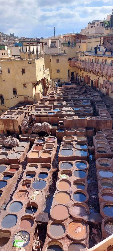       Traditional tannery with colorful dyeing pits.
  