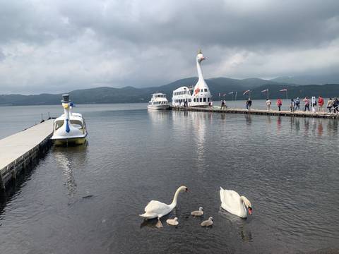       Upside-down image of swans and boats at a lake.
  