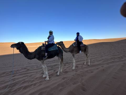 Two people riding camels in the desert.