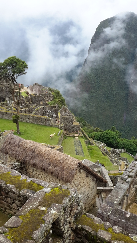       Ruins of Machu Picchu surrounded by mist and greenery.
  