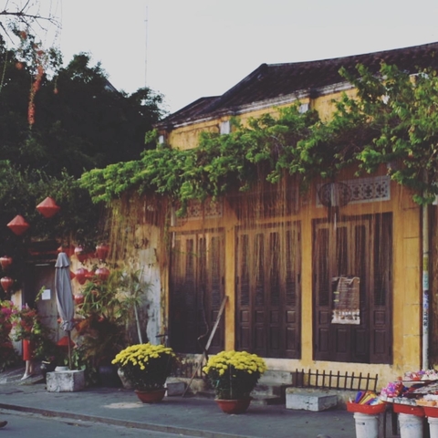       Traditional building with overhanging plants and Chinese lanterns.
  