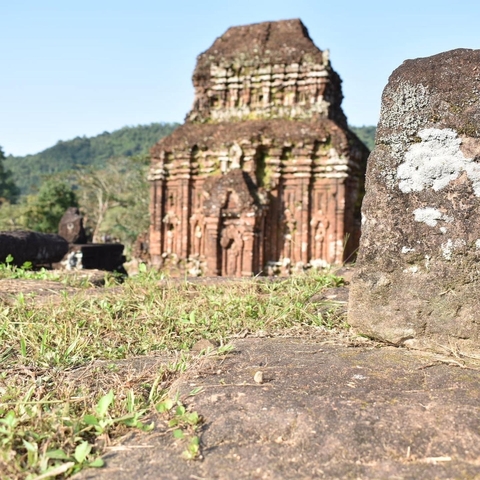       Temple ruins with overgrown foliage in a rural setting.
  