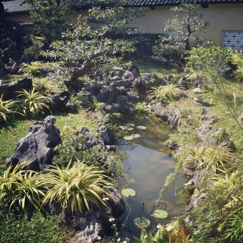       Small pond in a garden surrounded by rocks and plants.
  