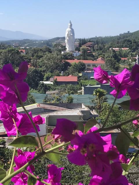 City with pink flowers in the foreground.