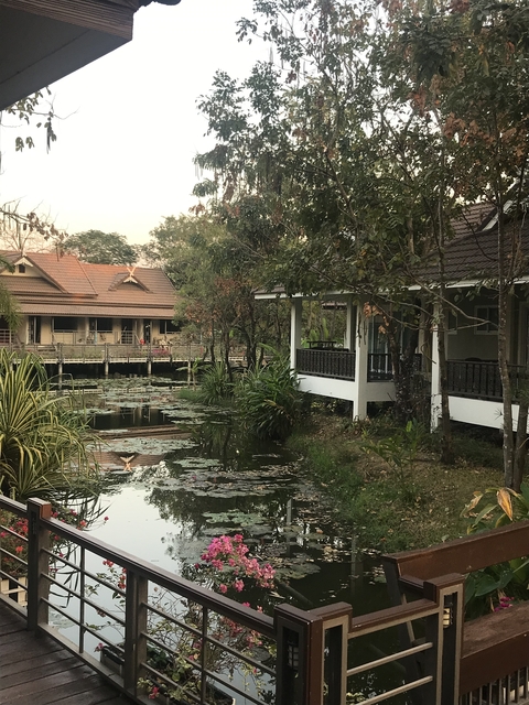 Lakeside houses with wooden walkways.