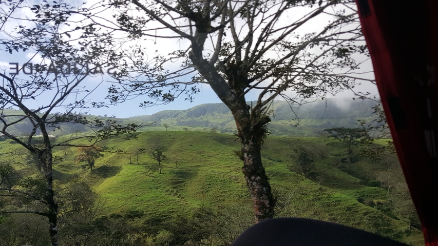 Green hills with trees seen through a bus window.
