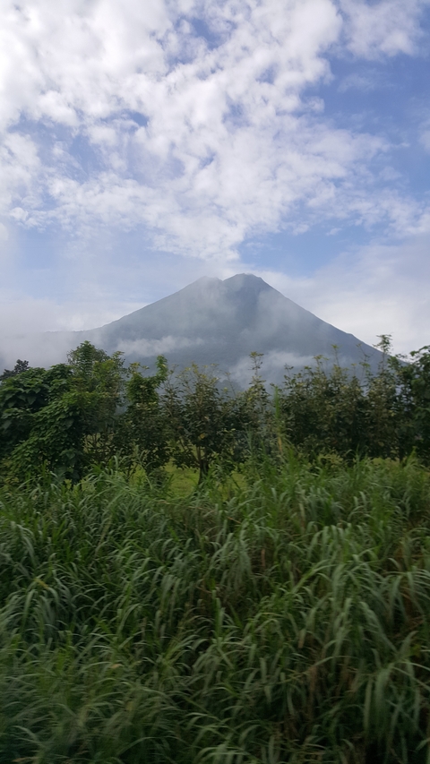 A distant view of a tall volcano enveloped in clouds and surrounded by greenery.
