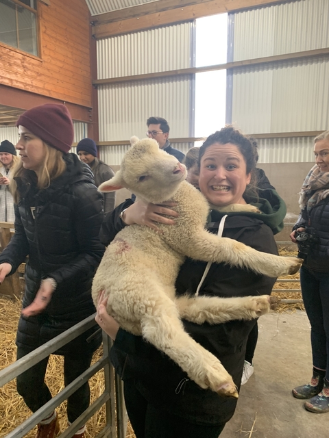 Person holding a lamb inside a barn with other people present.