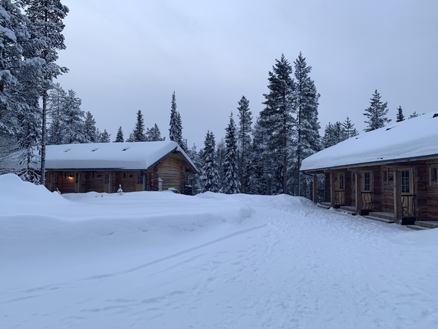 Log cabins in a snowy landscape.