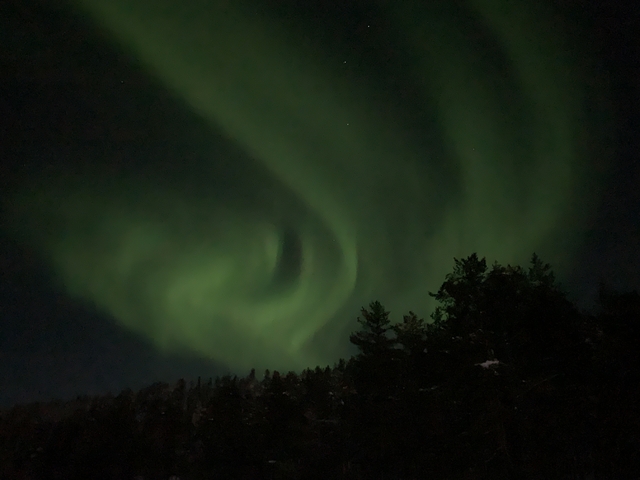 Aurora borealis in the night sky over a forest.