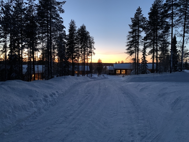 View down a snowy road, lined with trees, at sunset.