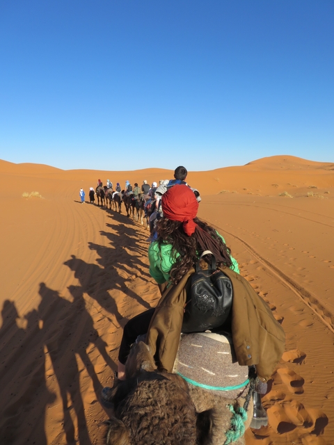 A line of camels with people riding through the desert.