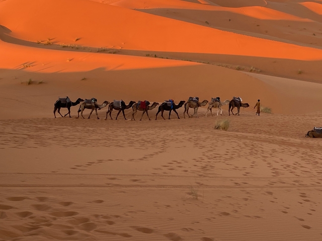       A caravan of camels with riders crossing the desert dunes.
  