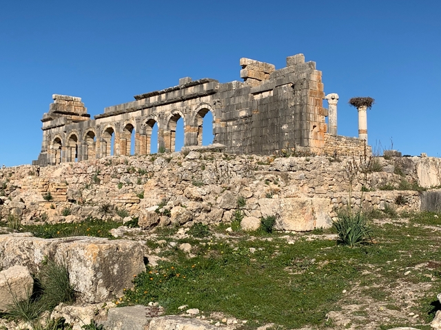       Ancient Roman ruins under a clear blue sky.
  