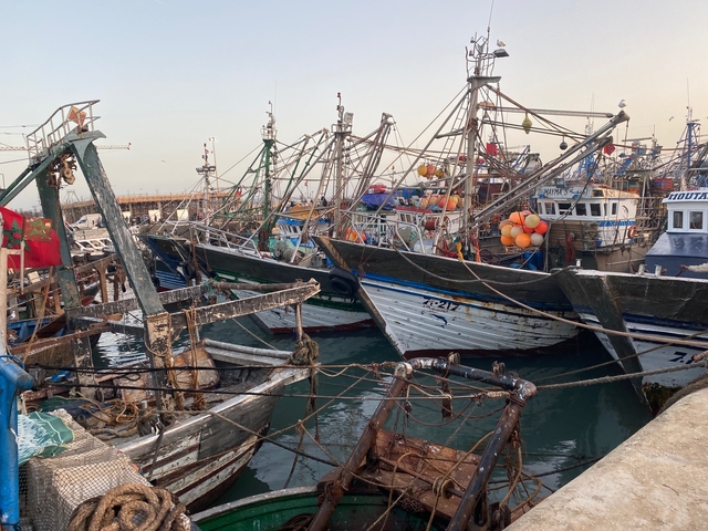       Colorful fishing boats docked in a harbor.
  