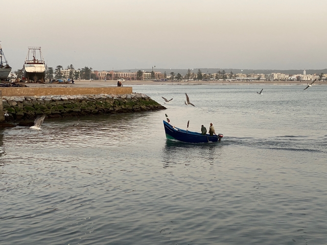       Fishermen in a boat with a coastal town and seagulls in the background.
  